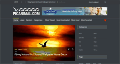 Desktop Screenshot of picanimal.com