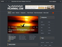 Tablet Screenshot of picanimal.com